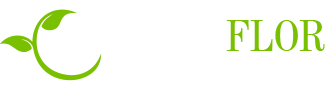 Aquaflor sklep akwarystyczny Ruda Śląska